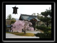 009 Kyoto Arashiyama Daikaku-ji d'abord villa de l'empereur Saga dans les années 800